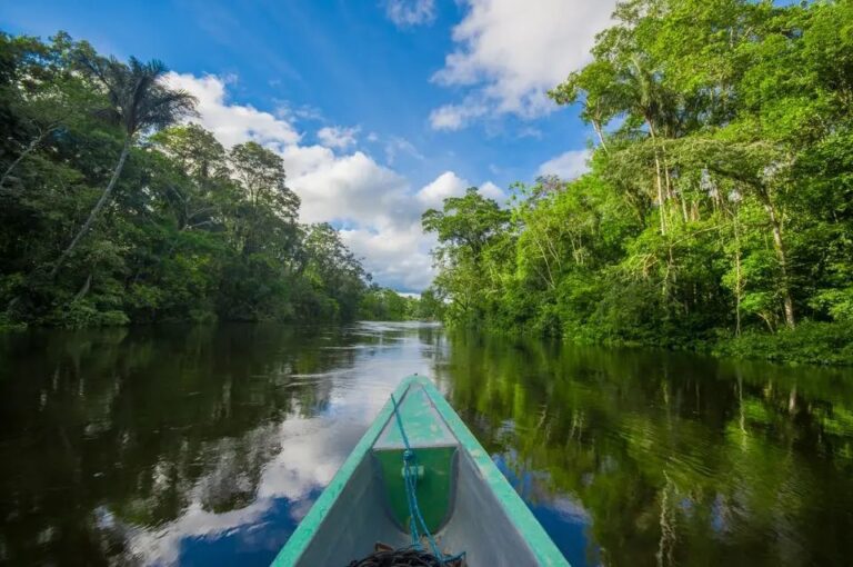 Canoe in the river