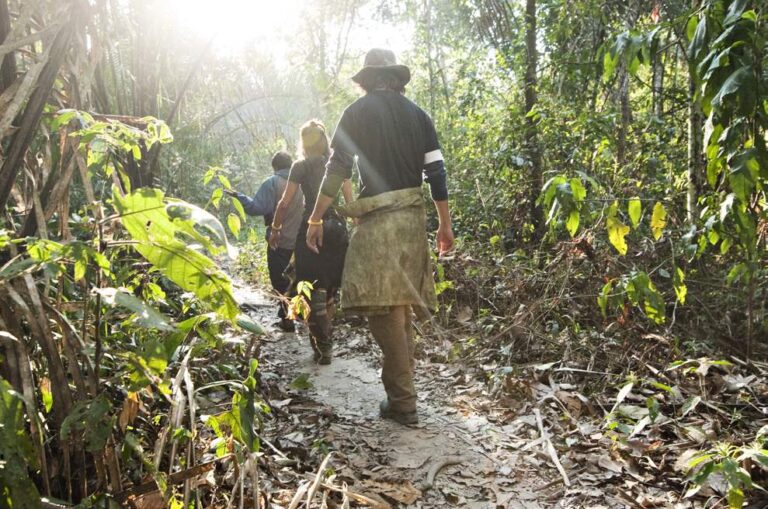 Jungle Walk