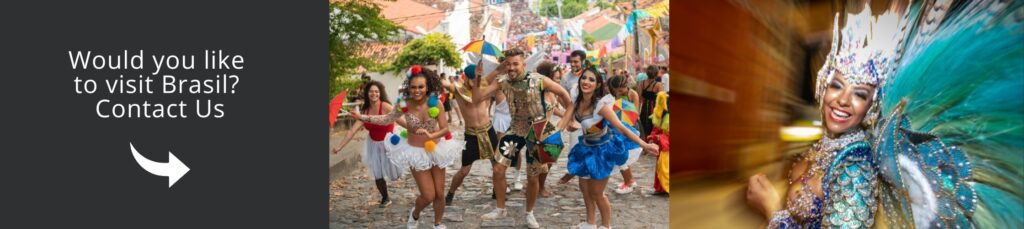 Contact us come and visit Brasil with us!