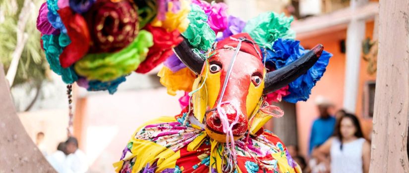 boi bumba festival - Brasil