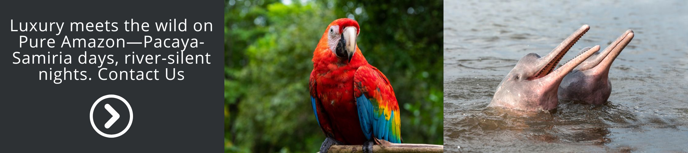 Luxury meets the wild on Pure Amazon
