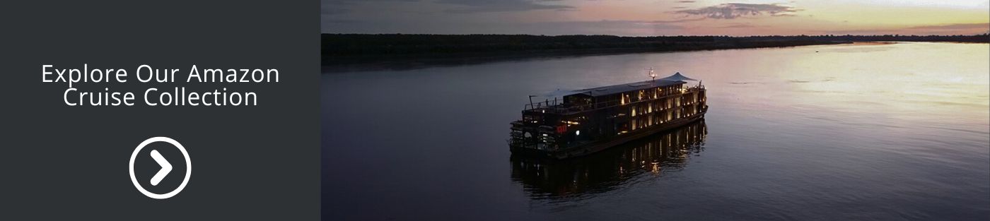 Explore Our Amazon Cruise Collection