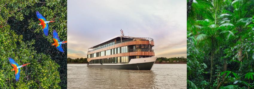 Choose Your Pure Amazon Journey
