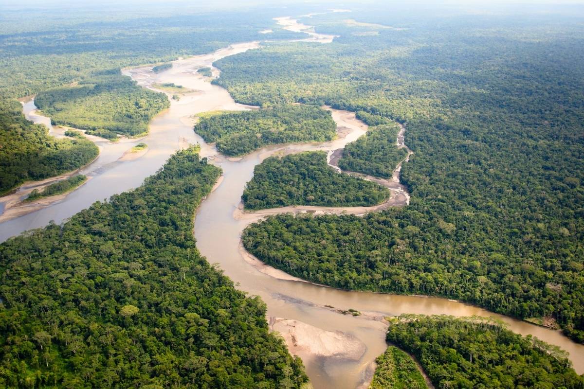 Amazon | River