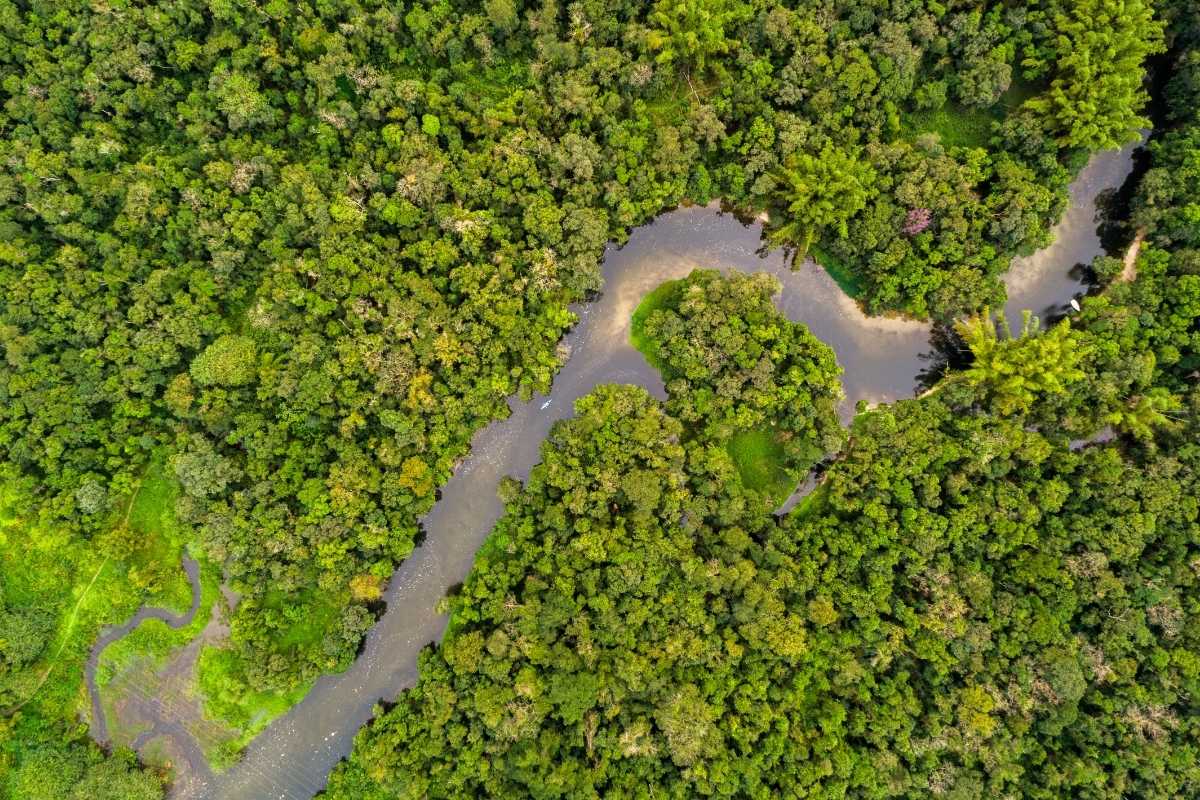 Amazon | River