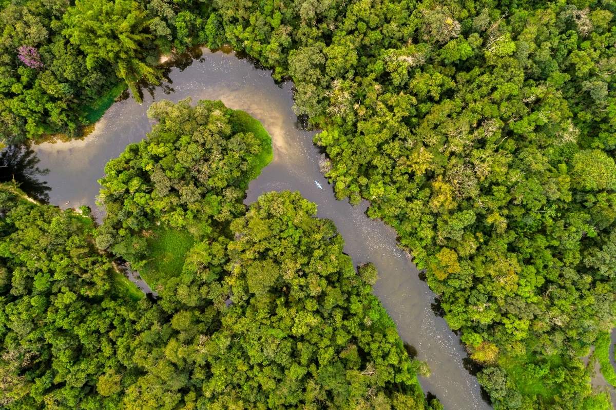 Amazon | River