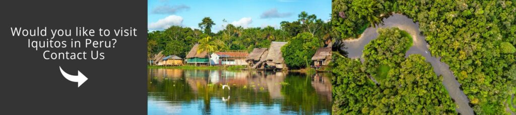 Contact our travel experts to start planning your unforgettable journey aboard the Pure Amazon Cruise in Iquitos, Peru