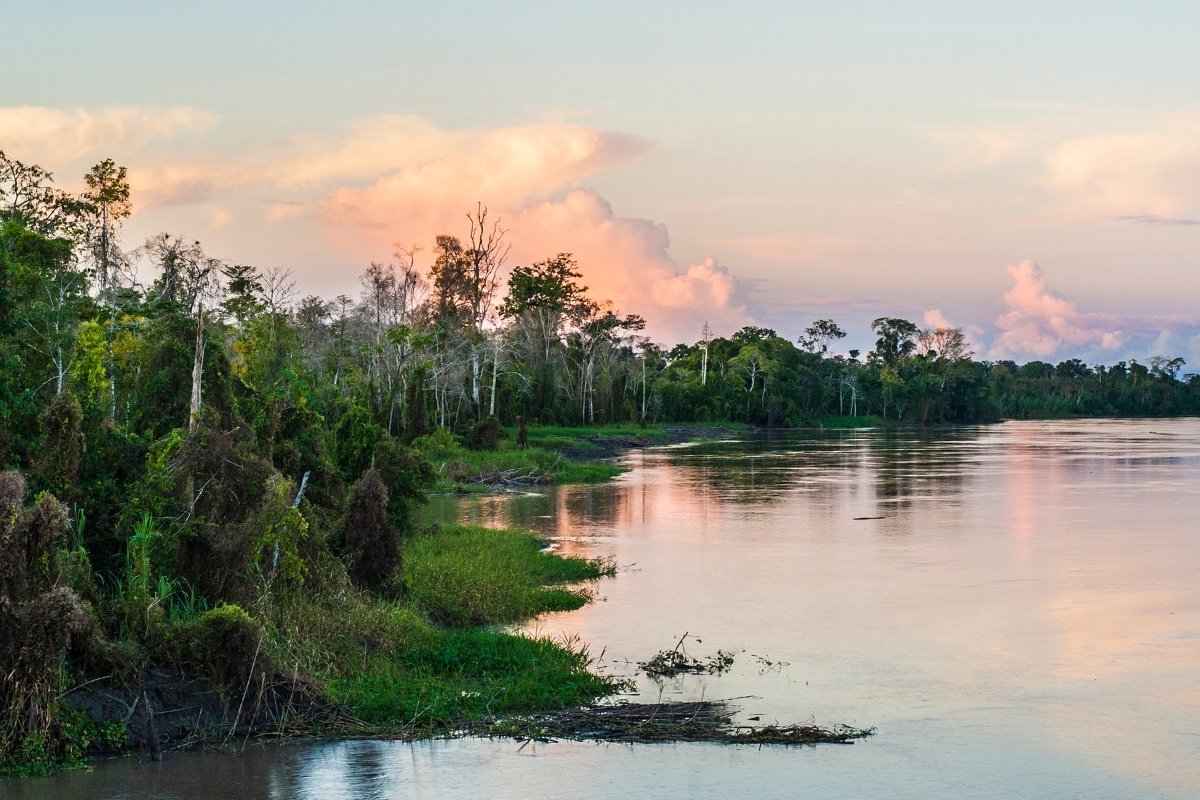 Amazon | River